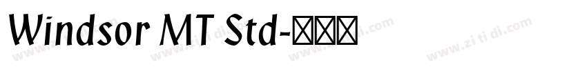 Windsor MT Std字体转换